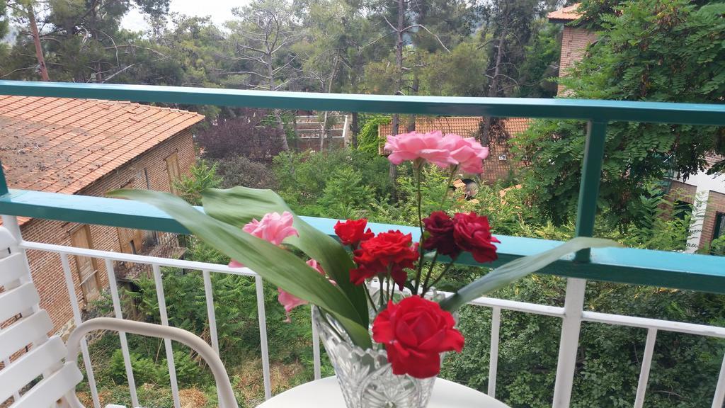 Edelweiss Hotel Платрес Екстериор снимка